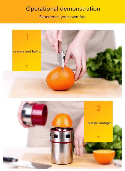 Stainless Steel Portable Juicer - iLuxurify